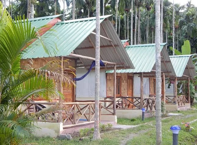 Exterior view of wooden cottages with green roofs surrounded by greenery.
